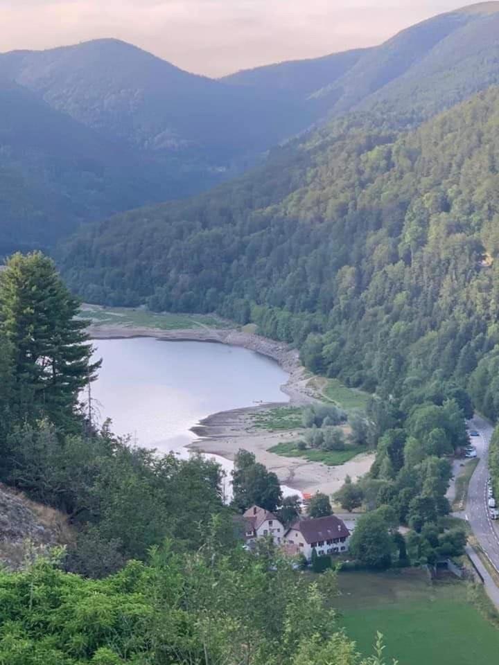 Petite Maison Au Calme Avec Jardin Cloture Les Animaux Bienvenue Mollau Zewnętrze zdjęcie