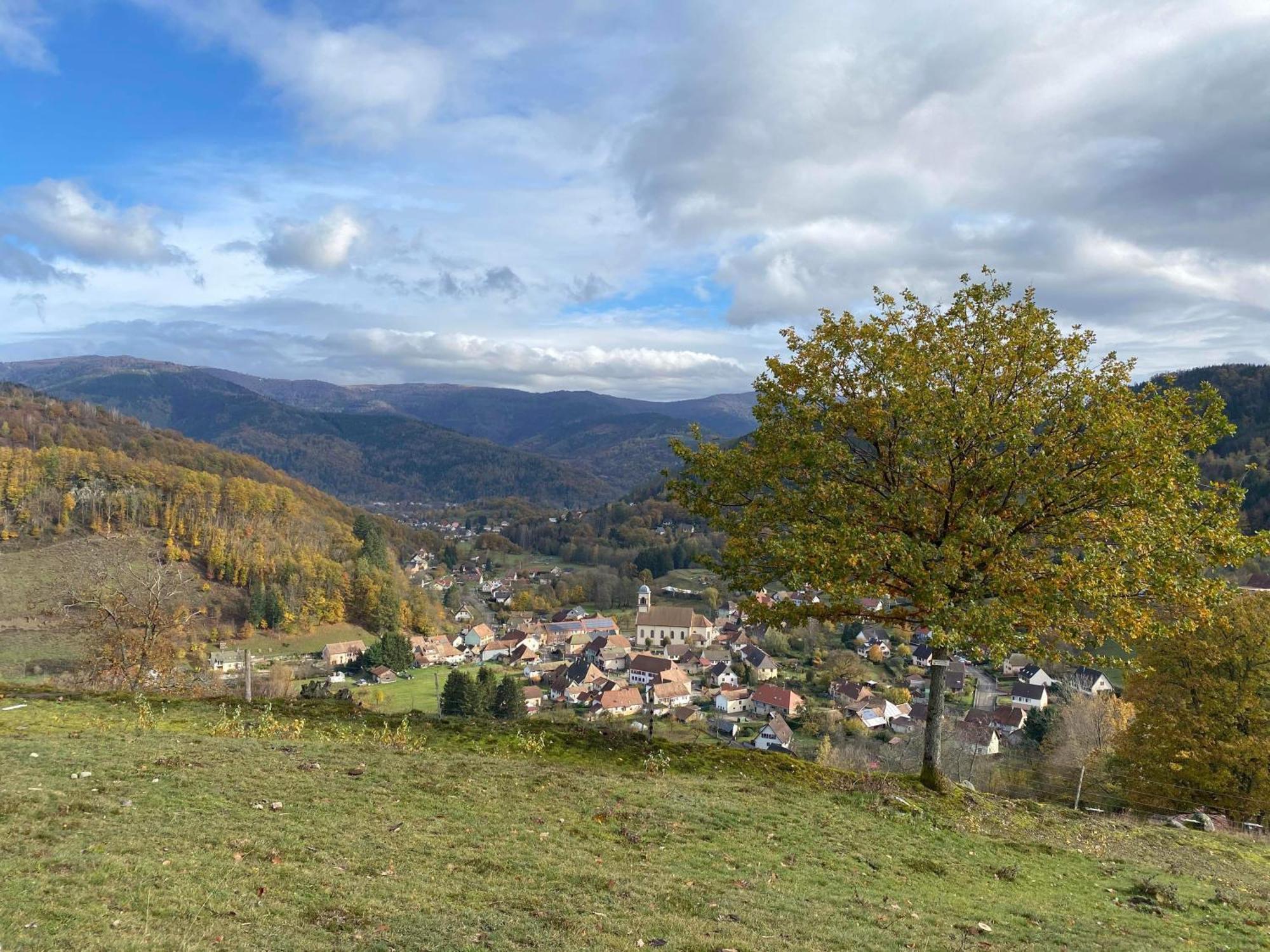 Petite Maison Au Calme Avec Jardin Cloture Les Animaux Bienvenue Mollau Zewnętrze zdjęcie